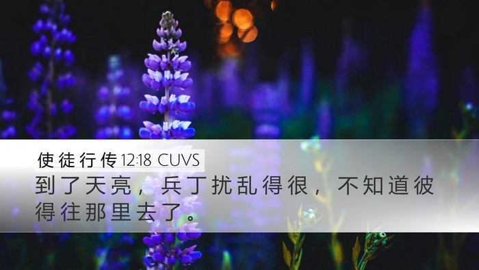 使 徒 行 传 12:18 CUVS Bible Verse Image