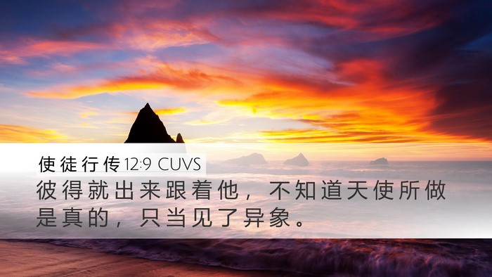 使 徒 行 传 12:9 CUVS Bible Verse Image