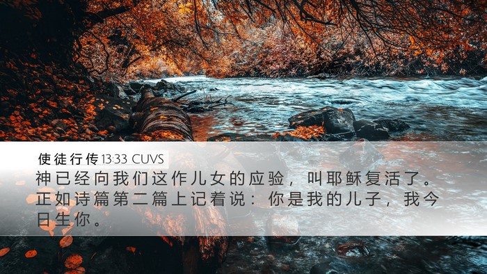 使 徒 行 传 13:33 CUVS Bible Verse Image