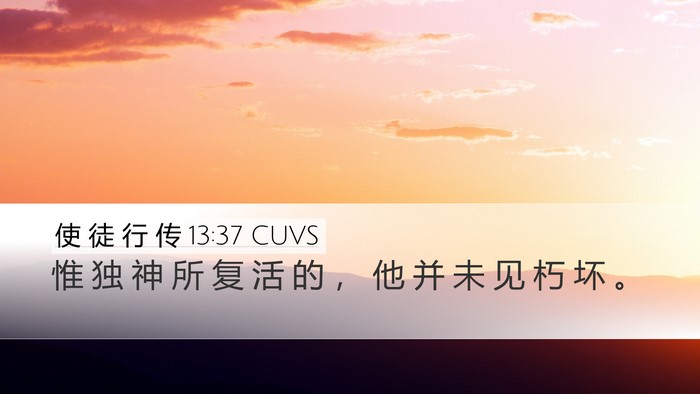 使 徒 行 传 13:37 CUVS Bible Verse Image