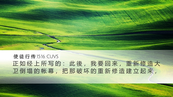 使 徒 行 传 15:16 CUVS Bible Verse Image