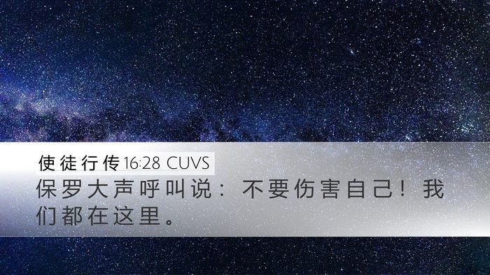 使 徒 行 传 16:28 CUVS Desktop Wallpaper - 保 罗 大 声 呼 叫 说 ： 不 要 伤 害 - Desktop Bible Verse Wallpaper