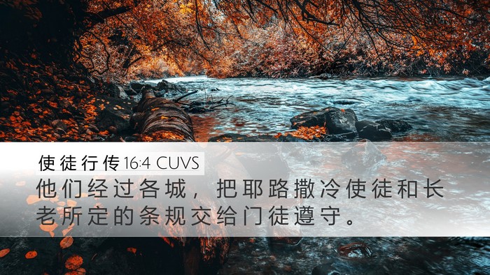 使 徒 行 传 16:4 CUVS Desktop Wallpaper - 他 们 经 过 各 城 ， 把 耶 路 撒 冷 - Desktop Bible Verse Wallpaper