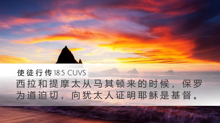 使 徒 行 传 18:5 CUVS Bible Verse Image