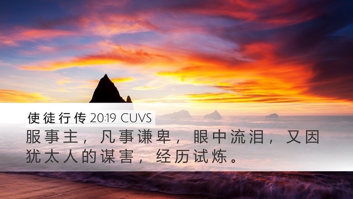 使 徒 行 传 20:19 CUVS Bible Verse Image