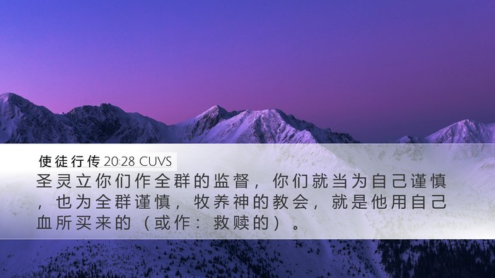 使 徒 行 传 20:28 CUVS Bible Verse Image