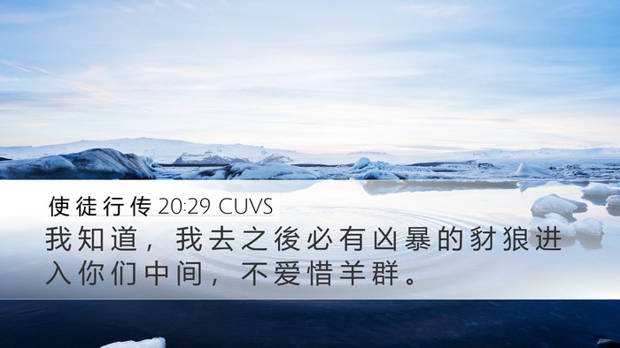 使 徒 行 传 20:29 CUVS Bible Verse Image