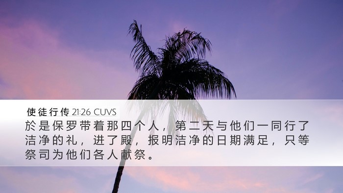 使 徒 行 传 21:26 CUVS Bible Verse Image