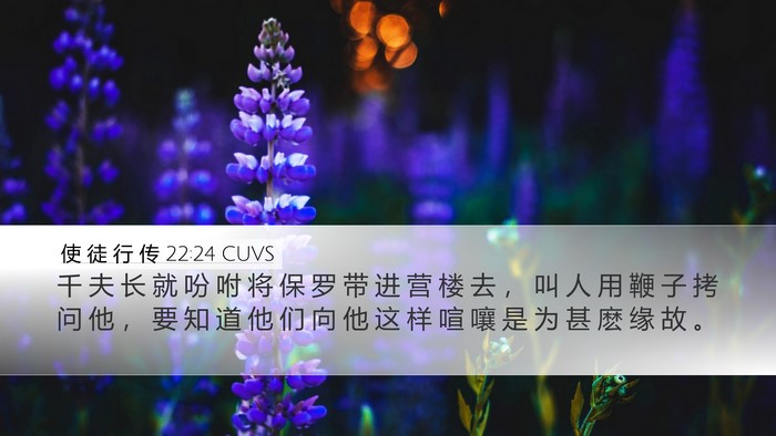 使 徒 行 传 22:24 CUVS Bible Verse Image