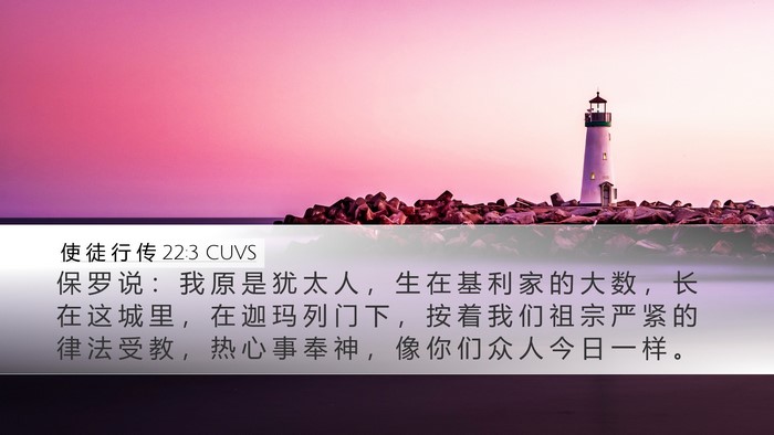 使 徒 行 传 22:3 CUVS Bible Verse Image