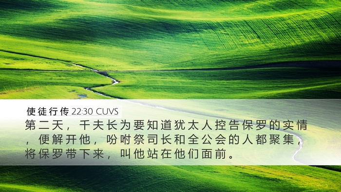 使 徒 行 传 22:30 CUVS Bible Verse Image