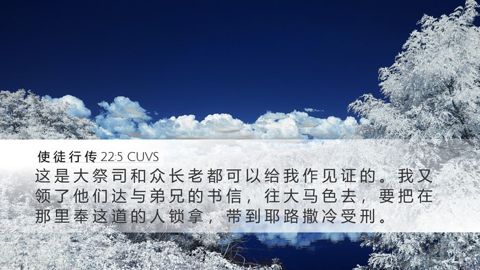 使 徒 行 传 22:5 CUVS Bible Verse Image