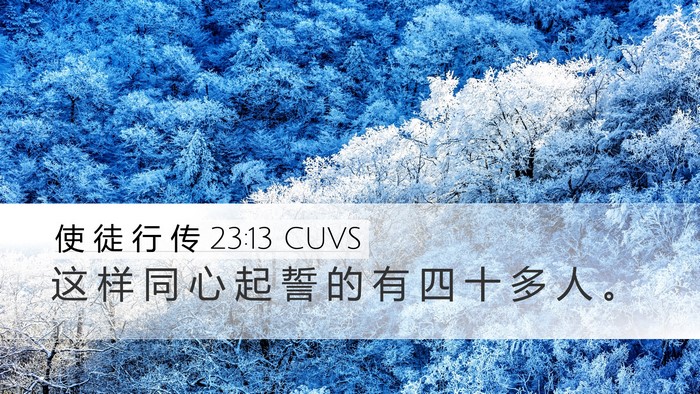 使 徒 行 传 23:13 CUVS Desktop Wallpaper - 这 样 同 心 起 誓 的 有 四 十 多 人 - Desktop Bible Verse Wallpaper