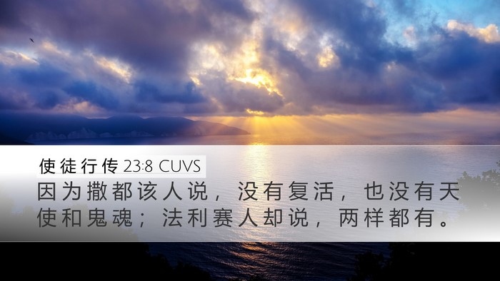 使 徒 行 传 23:8 CUVS Bible Verse Image