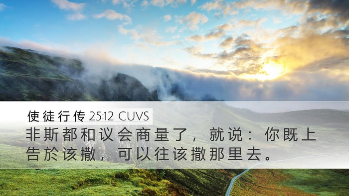 使 徒 行 传 25:12 CUVS Desktop Wallpaper - 非 斯 都 和 议 会 商 量 了 ， 就 说 - Desktop Bible Verse Wallpaper