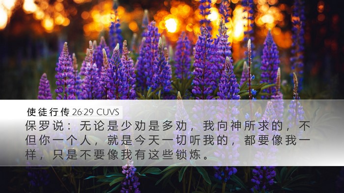 使 徒 行 传 26:29 CUVS Bible Verse Image
