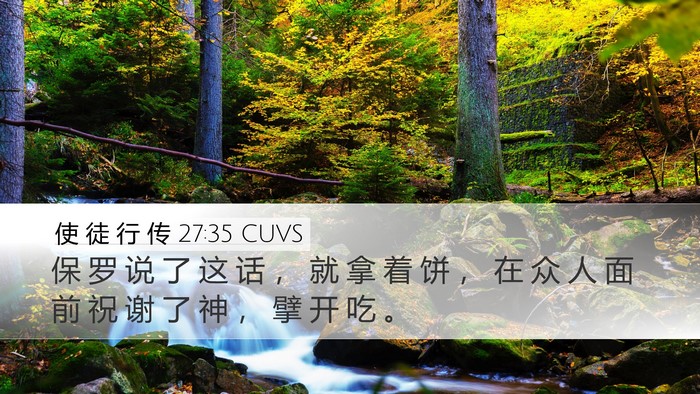 使 徒 行 传 27:35 CUVS Bible Verse Image