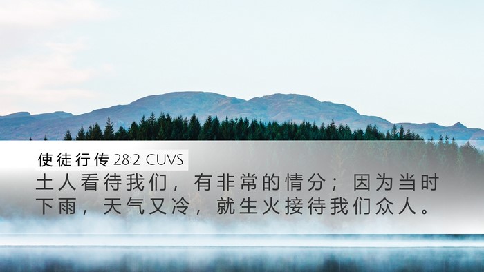 使 徒 行 传 28:2 CUVS Bible Verse Image