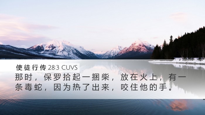 使 徒 行 传 28:3 CUVS Bible Verse Image