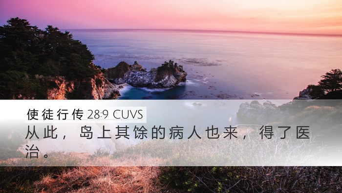 使 徒 行 传 28:9 CUVS Desktop Wallpaper - 从 此 ， 岛 上 其 馀 的 病 人 也 来 - Desktop Bible Verse Wallpaper
