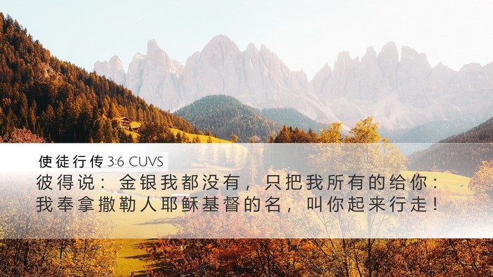 使 徒 行 传 3:6 CUVS Bible Verse Image