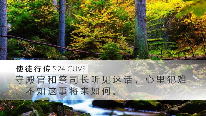 使 徒 行 传 5:24 CUVS Bible Verse Image