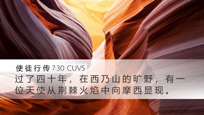 使 徒 行 传 7:30 CUVS Bible Verse Image