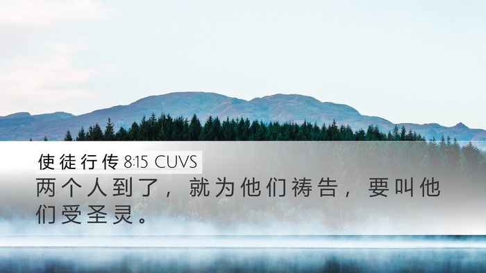 使 徒 行 传 8:15 CUVS Bible Verse Image