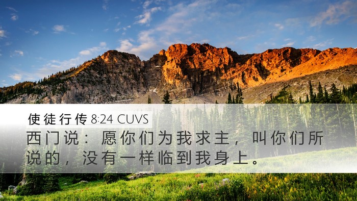 使 徒 行 传 8:24 CUVS Bible Verse Image