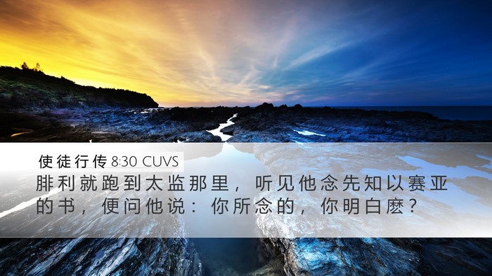 使 徒 行 传 8:30 CUVS Bible Verse Image