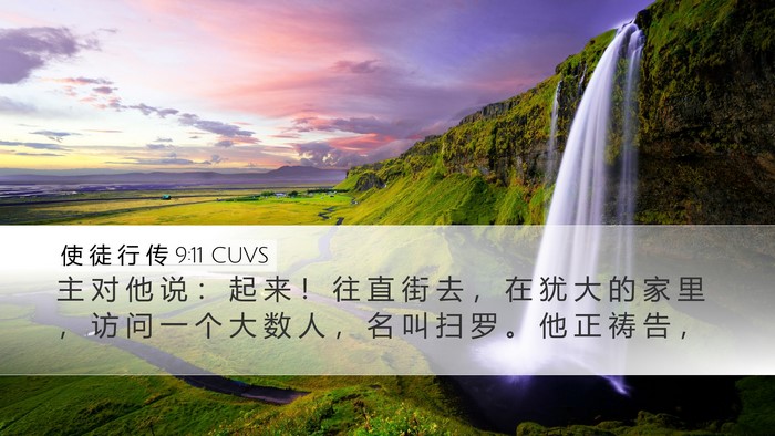 使 徒 行 传 9:11 CUVS Bible Verse Image