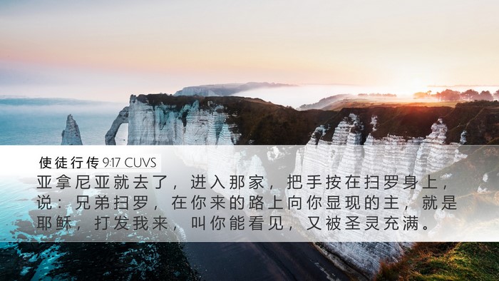 使 徒 行 传 9:17 CUVS Bible Verse Image