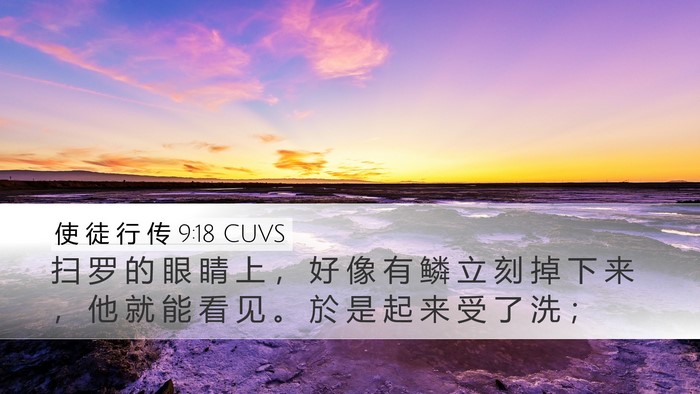 使 徒 行 传 9:18 CUVS Bible Verse Image
