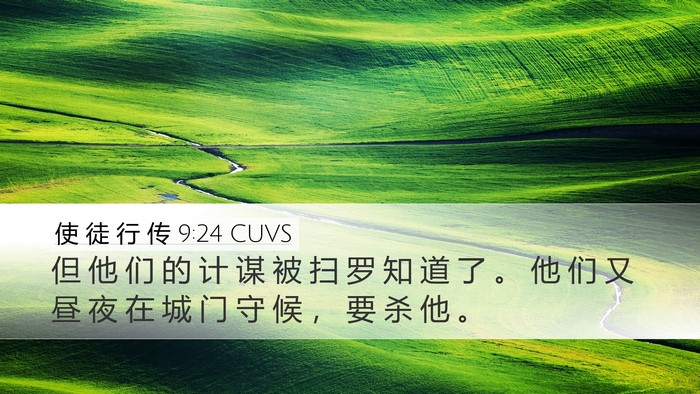 使 徒 行 传 9:24 CUVS Bible Verse Image