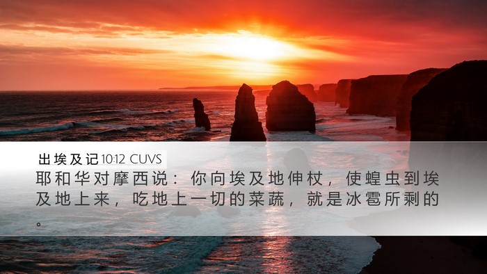 出 埃 及 记 10:12 CUVS Bible Verse Image