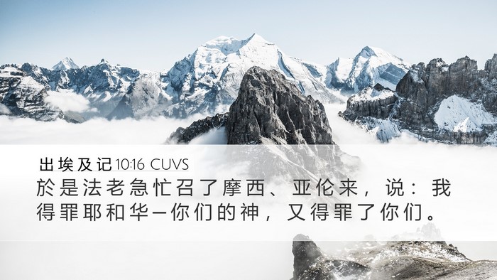出 埃 及 记 10:16 CUVS Bible Verse Image