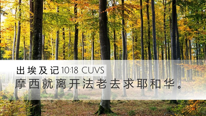 出 埃 及 记 10:18 CUVS Bible Verse Image