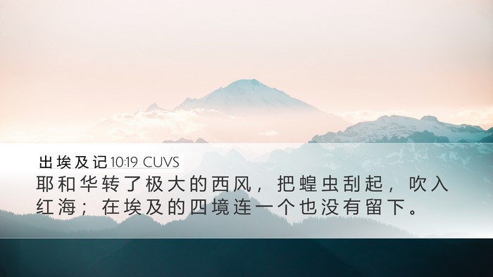 出 埃 及 记 10:19 CUVS Bible Verse Image