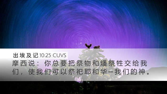 出 埃 及 记 10:25 CUVS Desktop Wallpaper - 摩 西 说 ： 你 总 要 把 祭 物 和 燔 - Desktop Bible Verse Wallpaper