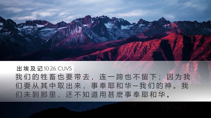 出 埃 及 记 10:26 CUVS Bible Verse Image