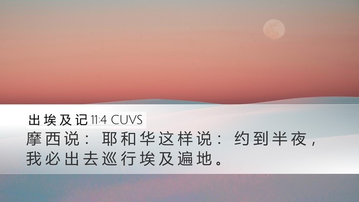 出 埃 及 记 11:4 CUVS Bible Verse Image