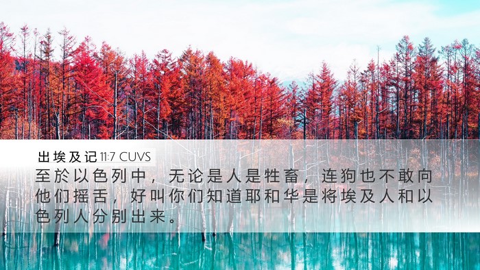 出 埃 及 记 11:7 CUVS Bible Verse Image