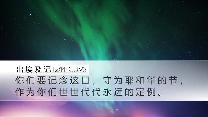出 埃 及 记 12:14 CUVS Bible Verse Image