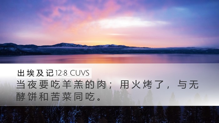出 埃 及 记 12:8 CUVS Bible Verse Image