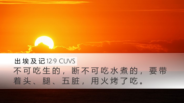 出 埃 及 记 12:9 CUVS Desktop Wallpaper - 不 可 吃 生 的 ， 断 不 可 吃 水 煮 - Desktop Bible Verse Wallpaper