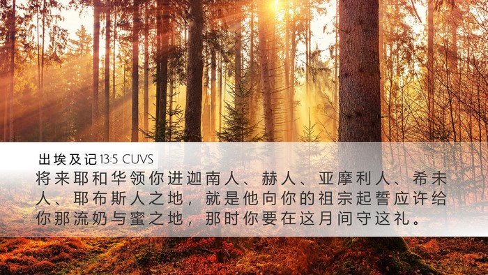 出 埃 及 记 13:5 CUVS Bible Verse Image