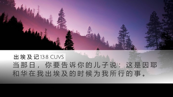 出 埃 及 记 13:8 CUVS Bible Verse Image