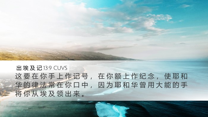 出 埃 及 记 13:9 CUVS Bible Verse Image
