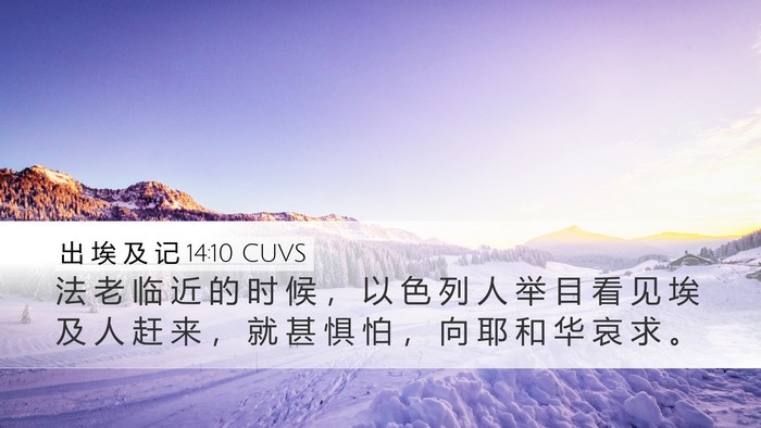 出 埃 及 记 14:10 CUVS Bible Verse Image