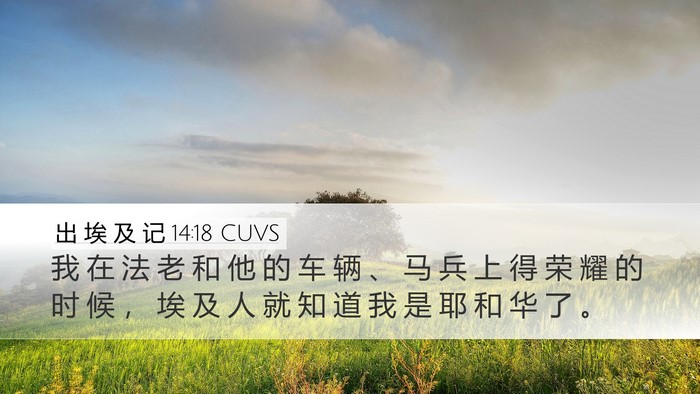 出 埃 及 记 14:18 CUVS Bible Verse Image